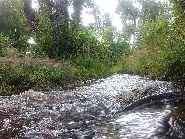 Ray Hobbs Colorado Down By The River